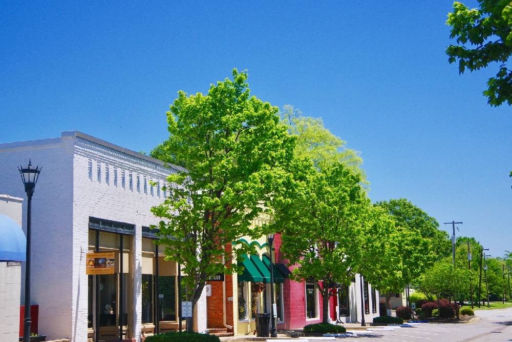 A row of businesses on Beaufort Street in Chapin, SC.