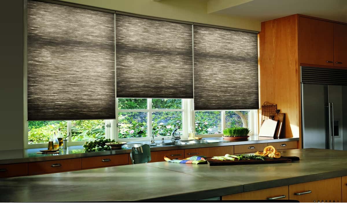 Duette® Honeycomb Shades near Lexington, South Carolina (SC), boasts Hunter Douglas Duolite® system for privacy.