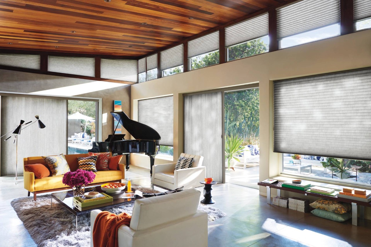 Hunter Douglas shades covering windows and a patio door at E.D.'s Paint & Decorating near Lexington, SC